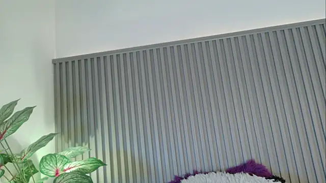 Celeste Presstigge online show from November 24, 2025, 11:26 pm