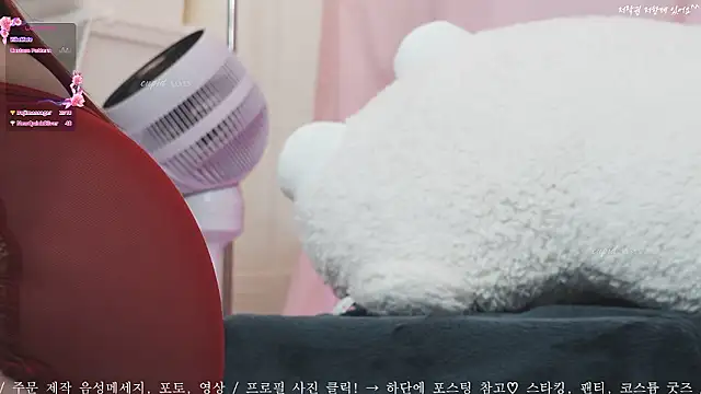 Cupid 33333 online show from September 27, 2025, 7:24 am