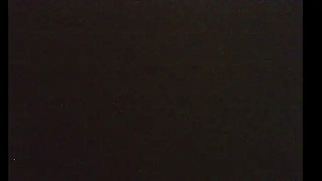 pietje1991 online show from January 10, 2026, 4:03 am