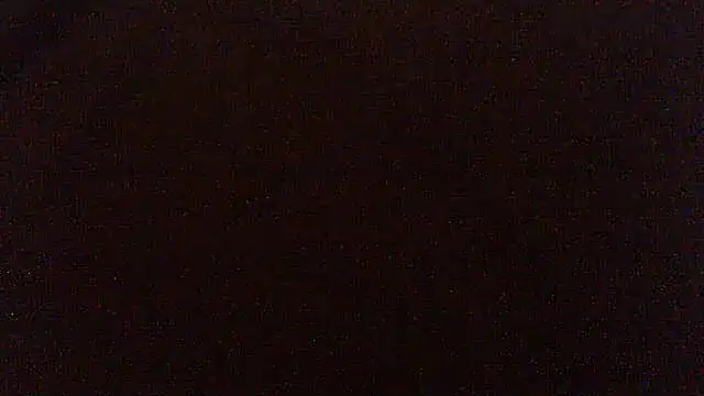 pietje1991 online show from April 17, 2026, 8:01 pm