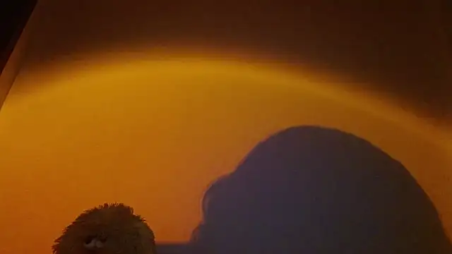 lia ana online show from March 24, 2026, 5:34 am