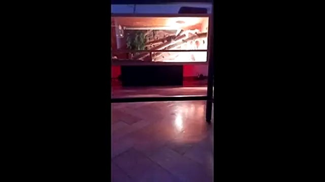 M6I6K6Exh online show from December 4, 2025, 7:28 am