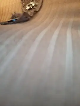 Sandiq99six online show from November 7, 2025, 11:05 pm