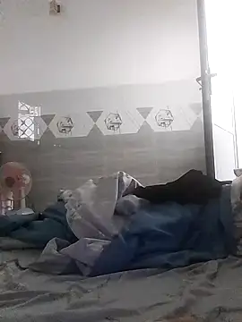 Tan32 11 online show from January 17, 2026, 8:19 am