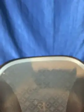 Rashi-48 online show from November 17, 2025, 6:03 pm