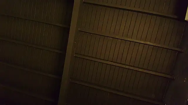 lilyth bloom online show from December 15, 2025, 12:42 pm