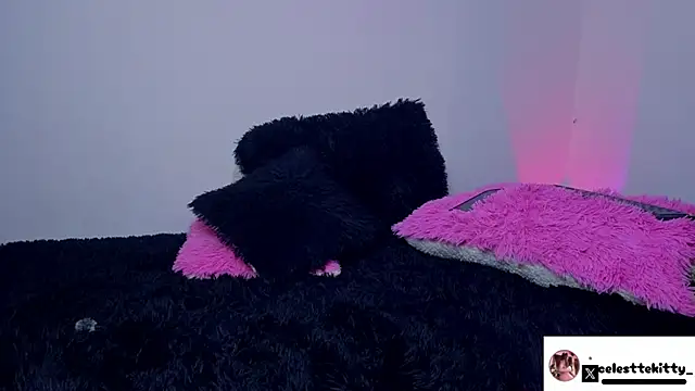 celestte evans 1 online show from March 16, 2026, 3:45 am