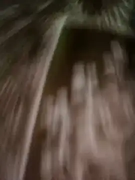 Snapshot of Love-pari08 chatting on November 9, 2025, 10:46 am Love-pari08 online show from November 9, 2025, 10:46 am