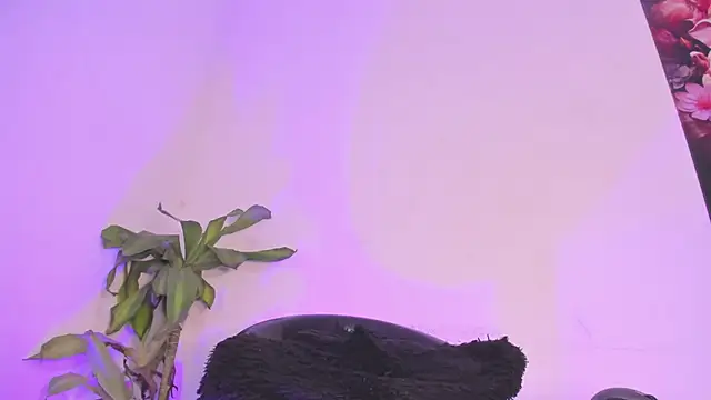 Lucy shen  online show from January 10, 2026, 12:01 am