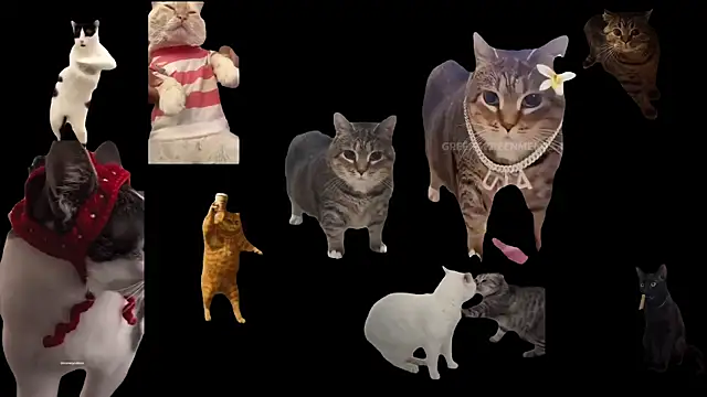 Snapshot of ch0wn_m chatting on October 3, 2025, 12:46 pm ch0wn m online show from October 3, 2025, 12:46 pm