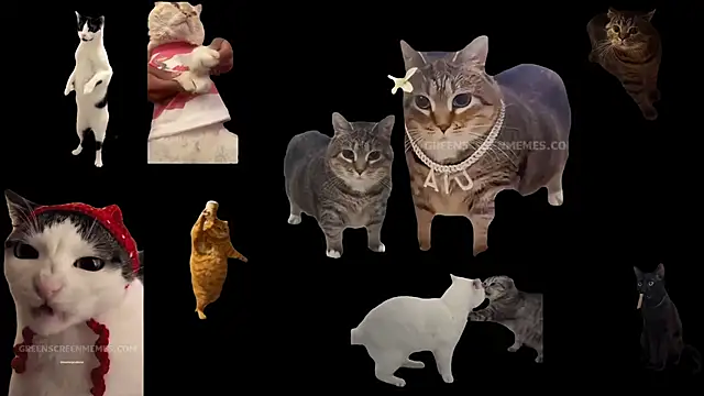 Snapshot of ch0wn_m chatting on October 24, 2025, 10:44 am ch0wn m online show from October 24, 2025, 10:44 am