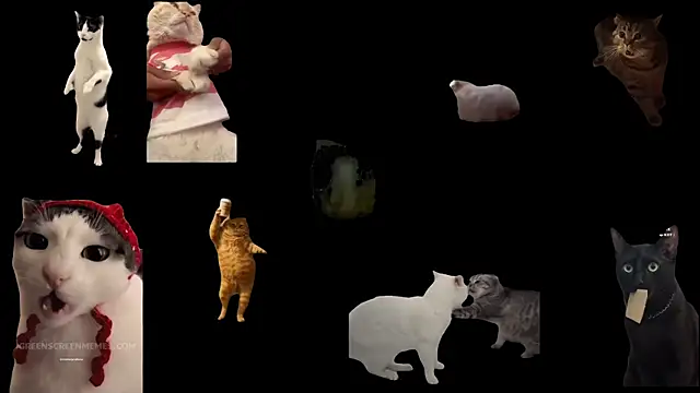 Snapshot of ch0wn_m chatting on November 19, 2025, 12:38 pm ch0wn m online show from November 19, 2025, 12:38 pm