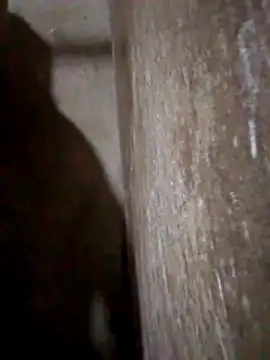 Lujor online show from March 31, 2026, 11:38 pm