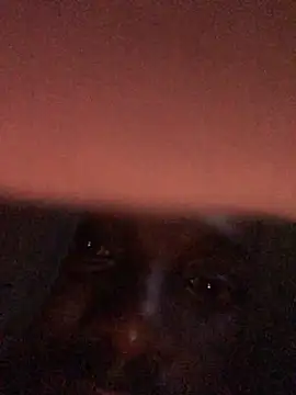 cuminsidebby online show from April 17, 2026, 4:15 am