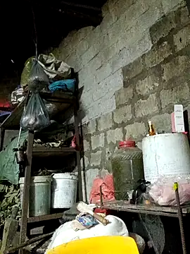 Sunyinn online show from February 3, 2026, 2:53 am