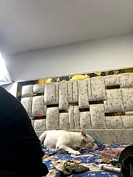 DayanaDG online show from January 9, 2026, 5:54 am