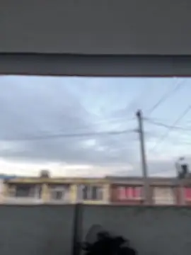 Sallem Pink online show from March 13, 2026, 11:17 am