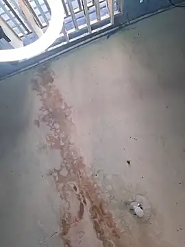 camila rogue online show from November 28, 2025, 12:08 pm