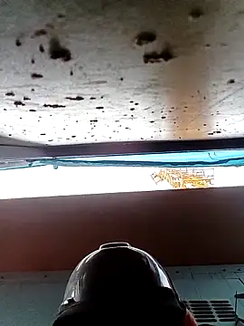 Snapshot of Pamaferto chatting on March 30, 2026, 9:16 pm Pamaferto online show from March 30, 2026, 9:16 pm