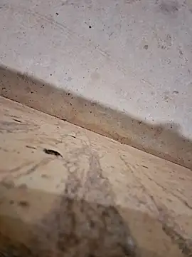 Negodabenga online show from December 14, 2025, 12:27 am