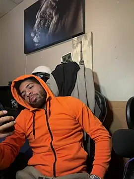 1mistaGoodWood online show from January 14, 2026, 4:23 pm