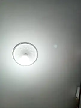 Snapshot of mert0359 chatting on April 24, 2026, 8:33 pm mert0359 online show from April 24, 2026, 8:33 pm