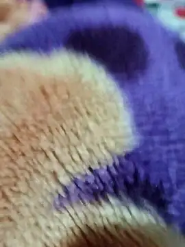 Snapshot of sana-5 chatting on March 15, 2026, 3:18 pm sana-5 online show from March 15, 2026, 3:18 pm