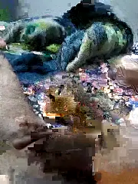 Snapshot of sitonmycock_ chatting on October 6, 2025, 9:01 pm sitonmycock online show from October 6, 2025, 9:01 pm