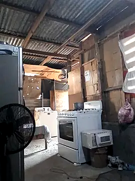 Steehood online show from November 20, 2025, 2:50 pm