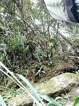 pitersonntt online show from February 10, 2026, 8:24 pm