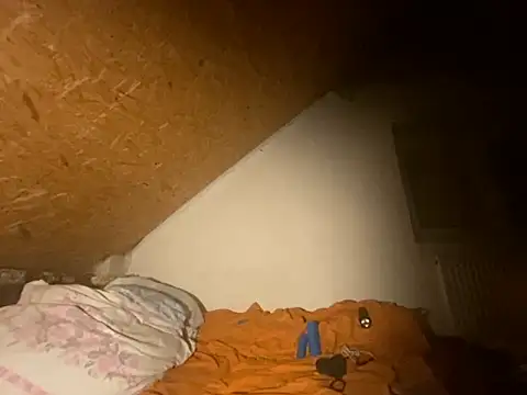 Salon1986 online show from October 12, 2025, 12:53 am