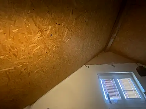 Salon1986 online show from November 7, 2025, 3:01 pm