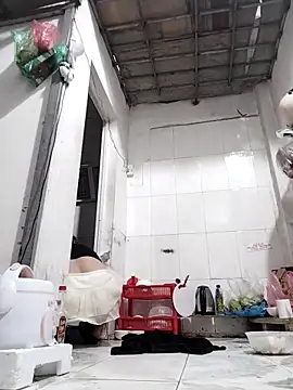 naop04 online show from November 12, 2025, 12:05 pm