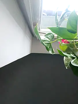 Snapshot of Czarnoksieznik chatting on November 2, 2025, 12:07 pm Czarnoksieznik online show from November 2, 2025, 12:07 pm