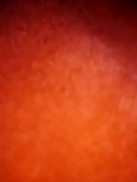 amolicars online show from November 21, 2025, 7:45 pm