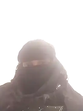 amolicars online show from November 24, 2025, 2:28 pm