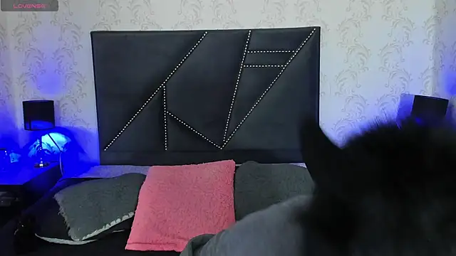 danny rios20 online show from February 20, 2026, 8:20 pm