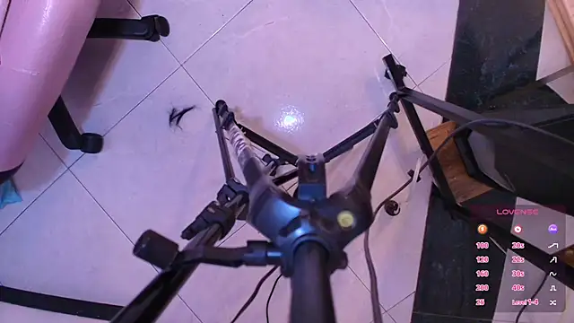 Terraelowen online show from November 1, 2025, 11:45 am