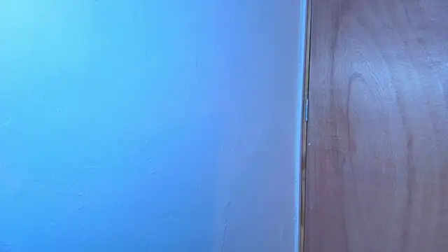 Terraelowen online show from February 15, 2026, 11:19 am