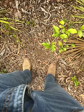 HorneyCowboy154 online show from April 19, 2026, 8:11 pm