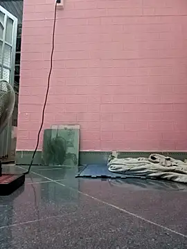 Snapshot of Rose_194 chatting on October 26, 2025, 2:56 pm Rose 194 online show from October 26, 2025, 2:56 pm