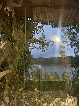 Just Isaa online show from January 31, 2026, 11:14 pm