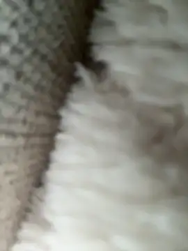 Snapshot of whitequeen_xxx chatting on November 20, 2025, 11:21 am whitequeen xxx online show from November 20, 2025, 11:21 am