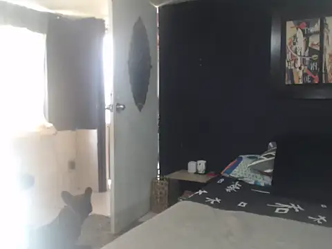 Dara-montenegro online show from October 16, 2025, 6:53 pm