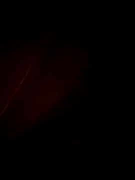 Fran-solo online show from May 28, 2026, 9:17 am