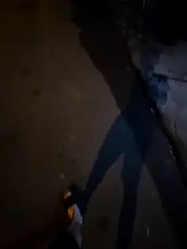 Kunbet online show from April 15, 2026, 4:25 pm