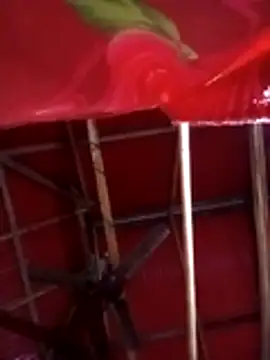 Johlrd online show from November 4, 2025, 11:15 pm