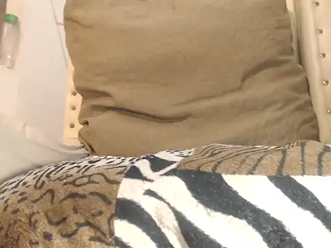 Snapshot of HOLYcummerTS chatting on December 2, 2025, 8:08 am HOLYcummerTS online show from December 2, 2025, 8:08 am