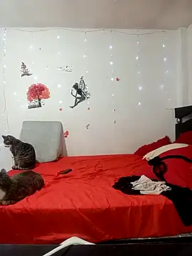 Lady 16 online show from February 17, 2026, 1:57 am