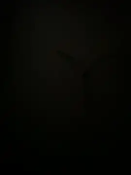 succy33 online show from October 7, 2025, 4:59 pm